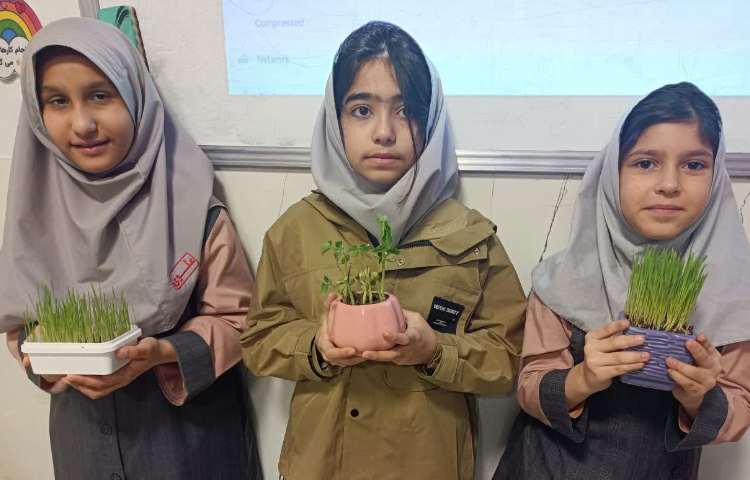 علوم