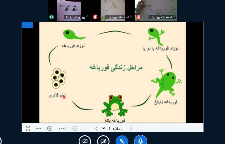 علوم