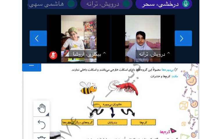 علوم