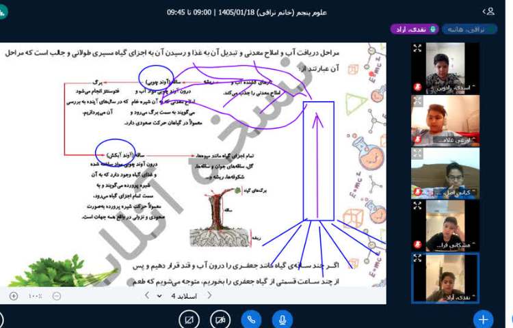 علوم