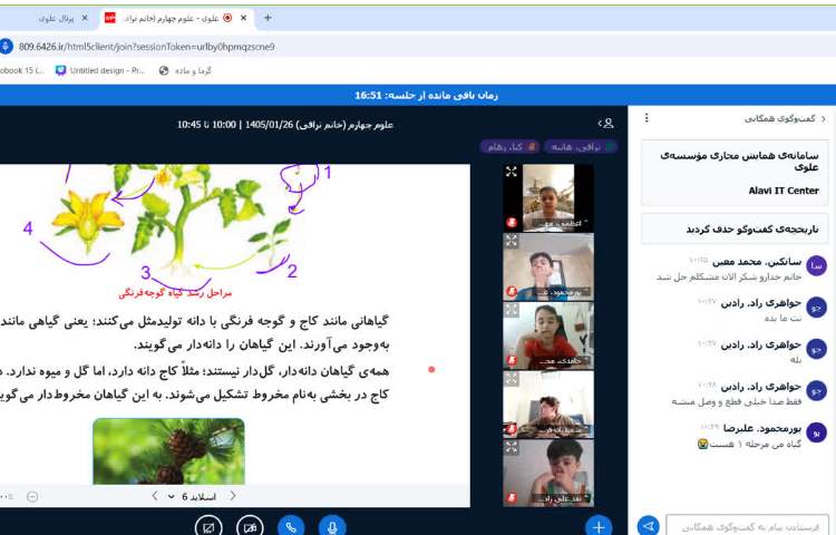 علوم