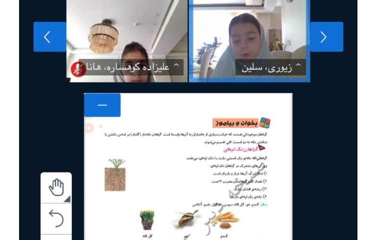 علوم