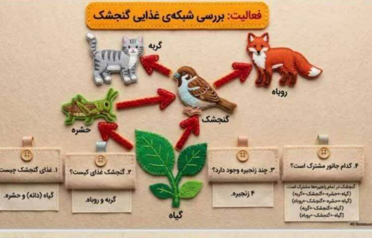 علوم