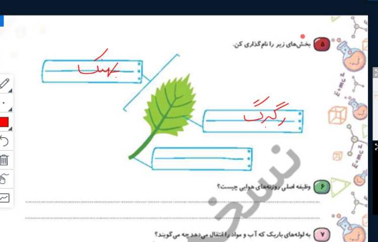 علوم
