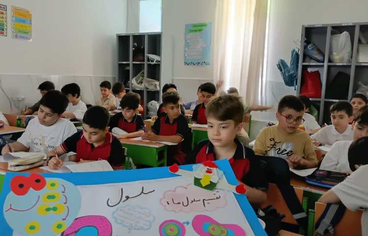 علوم
