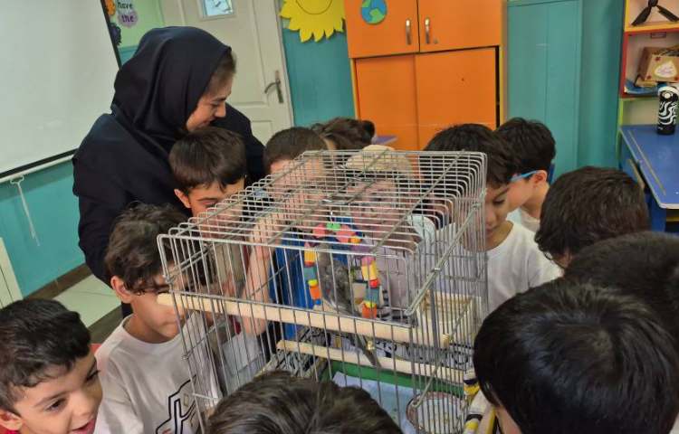 علوم