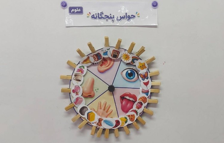 علوم