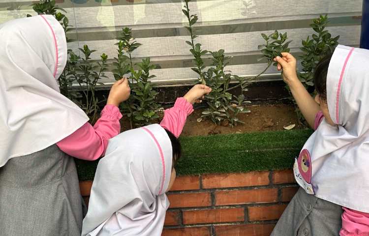 علوم