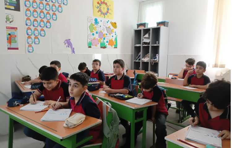 علوم