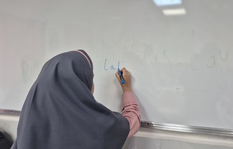 عمومی 3