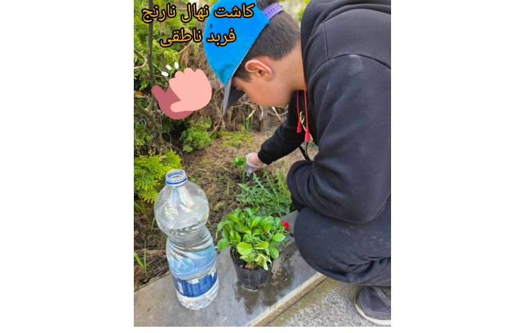 عکس های ارسالی روز طبیعت 9