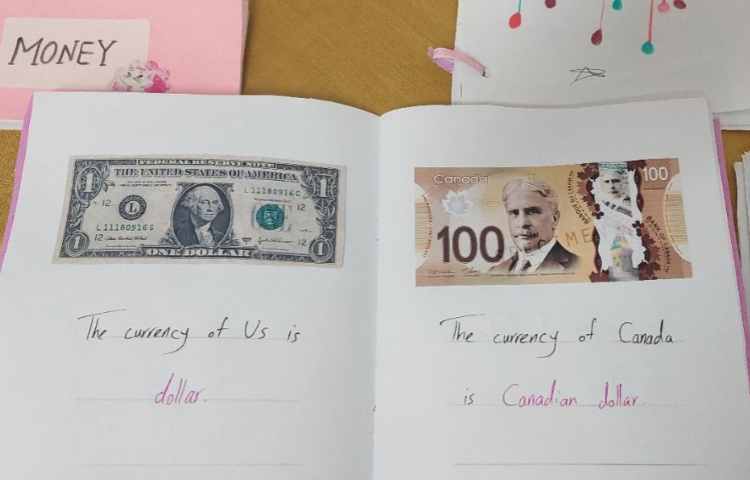 عکس و کلیپ هفته علوم زبان 3