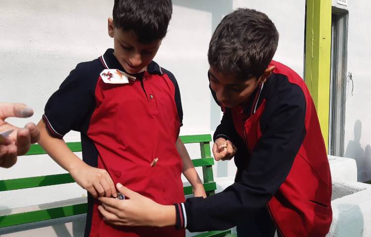 غوطه‌وری انگلیسی در حیاط مدرسه 2