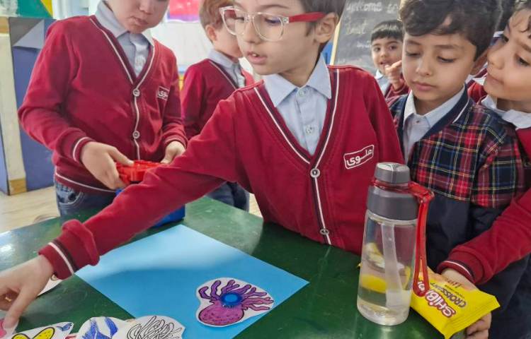 غوطه وری پیش دبستان با موضوع sea animals 4