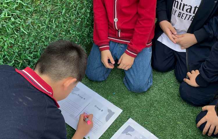 Immersion غوطه وری 1