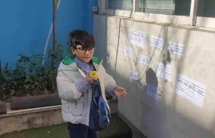 Immersion غوطه وری 3