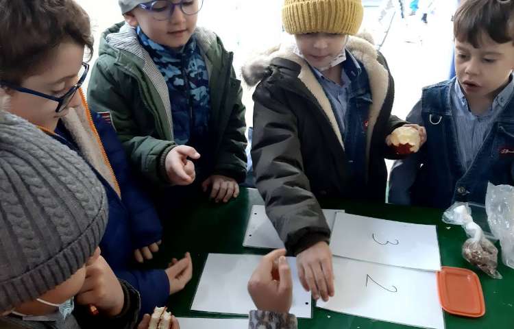 Immersion غوطه وری 4