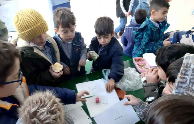 Immersion غوطه وری 5