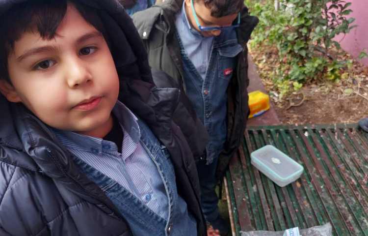 Immersion غوطه وری