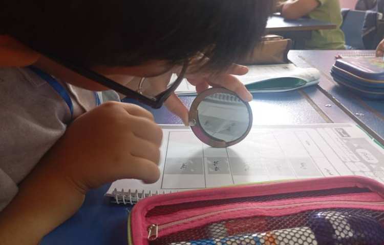 فارسی،مبحث املای خلاق و تشخیصی 2