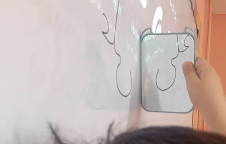 فارسی،مبحث املای خلاق و تشخیصی