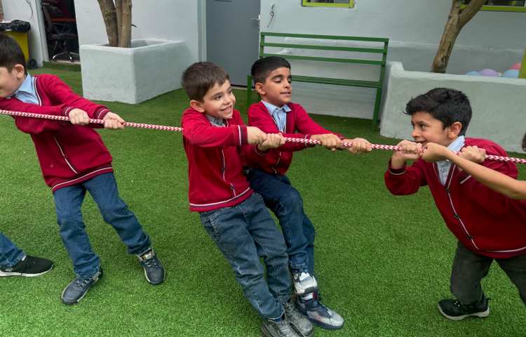 فارسی: بازی بازی، تماشا 6
