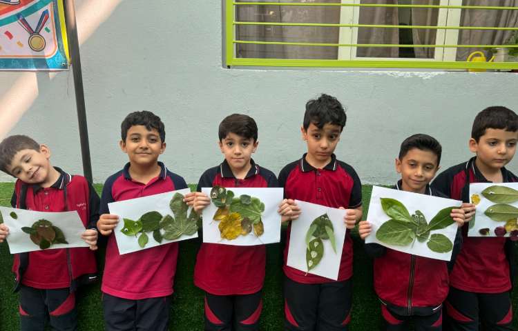 فارسی: ب مثل برگ ( کاردستی خلاقانه با برگ) 2
