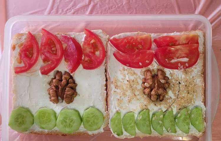 فارسی تدریس درس چهاردهم 1