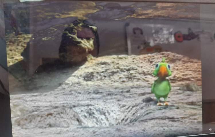 فارسی و ریاض و علوم 5