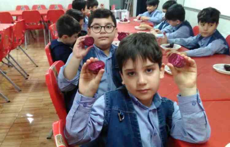 فارسی (چغندر پر برکت ) 2