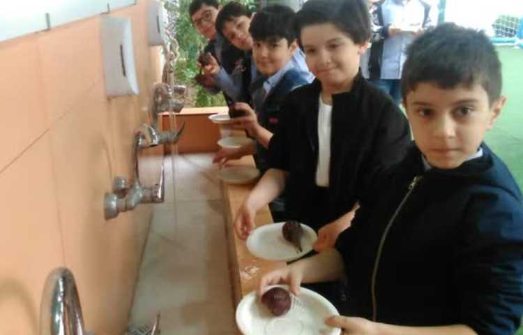 فارسی (چغندر پر برکت ) 6