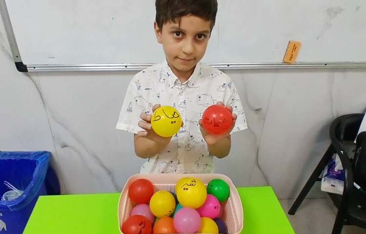 فارسی (کلمات هم‌آوا و هم‌نویس)