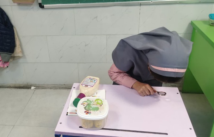 فارسی 5