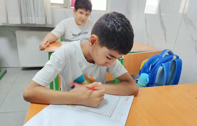 فارسی