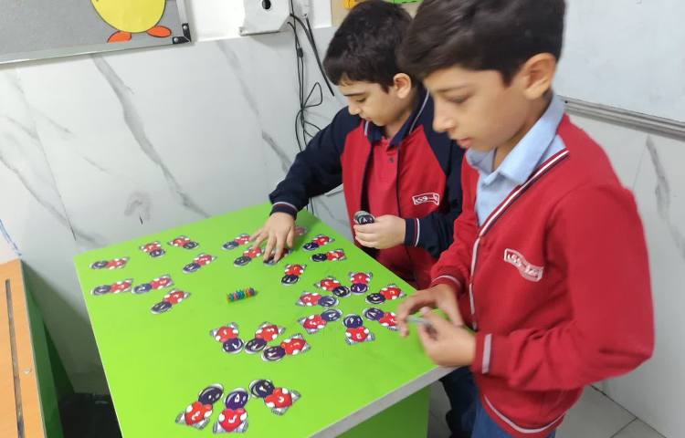 فارسی