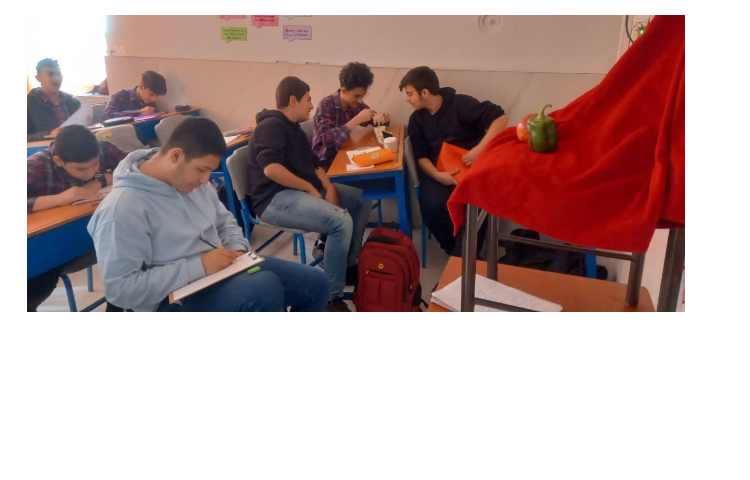 (فرا آموزشی)