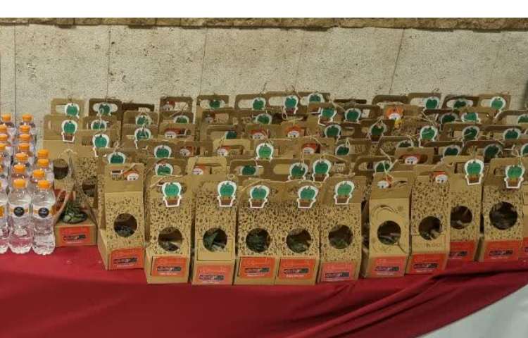 فستیوال بزرگ زبان و جشن نوروز 13