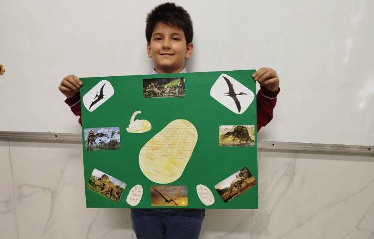 فسیل و مراحل تشکیل آن 7