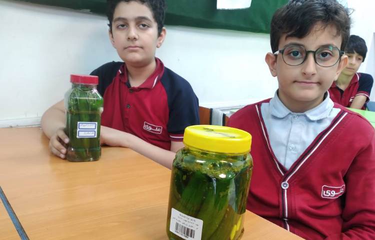 فصل 14 علوم آزمایش درست کردن خیارشور 1