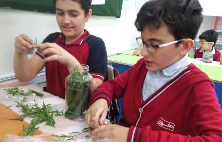 فصل 14 علوم آزمایش درست کردن خیارشور 2