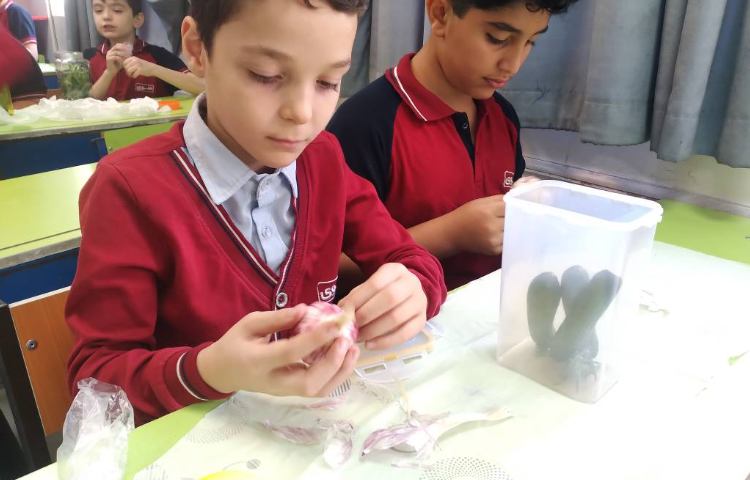 فصل 14 علوم آزمایش درست کردن خیارشور 3