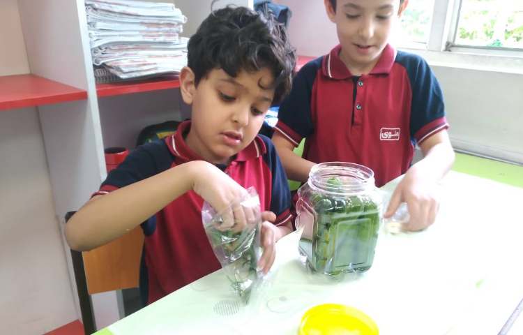 فصل 14 علوم آزمایش درست کردن خیارشور 4