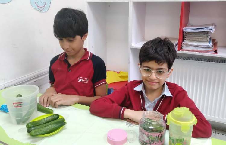 فصل 14 علوم آزمایش درست کردن خیارشور 5