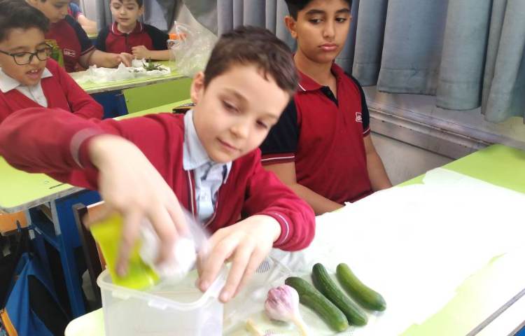 فصل 14 علوم آزمایش درست کردن خیارشور