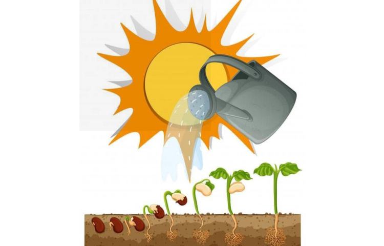فصل 5 علوم دنیای گیاهان