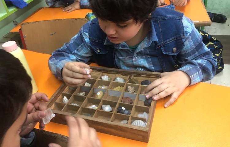 فعالیتهای آموزشی علوم پایه چهارم 10