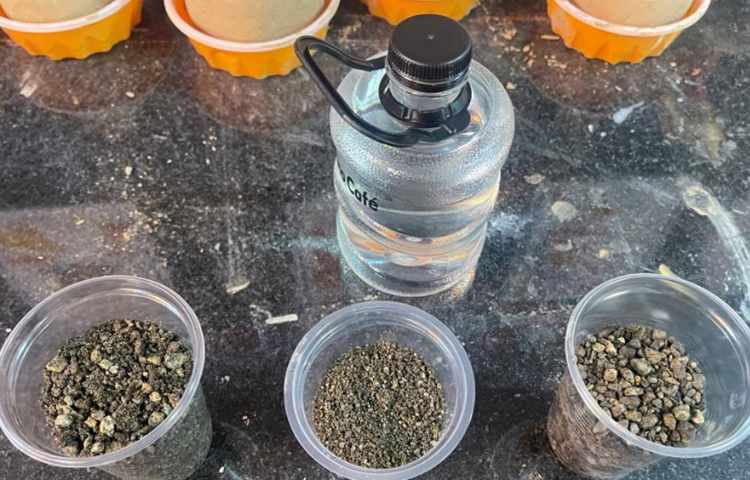 فعالیتهای آموزشی و فوق برنامه پایه اول دبستان 6