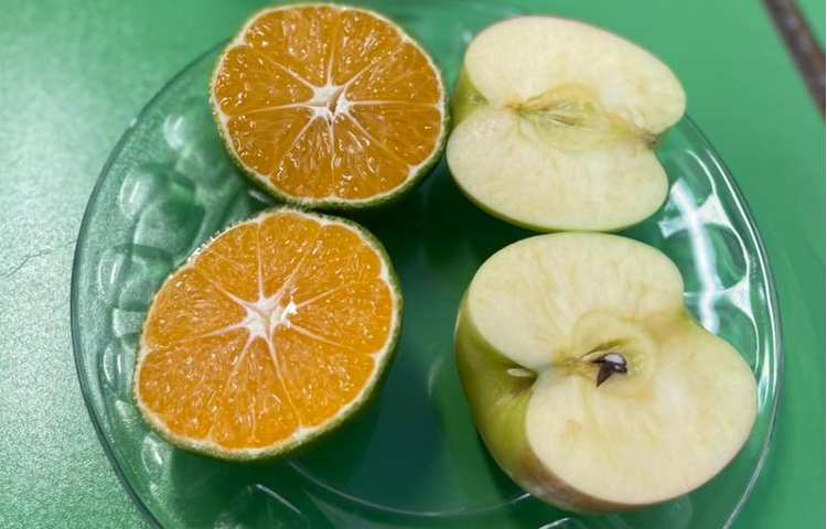 فعالیتهای آموزشی پایه اول 10