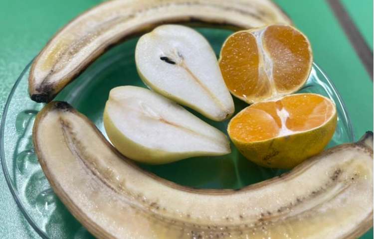 فعالیتهای آموزشی پایه اول 9