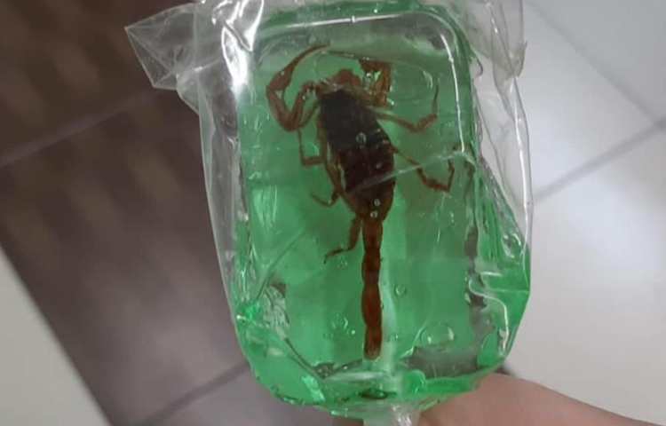 فعالیتهای آموزشی پایه چهارم دبستان علوی 5